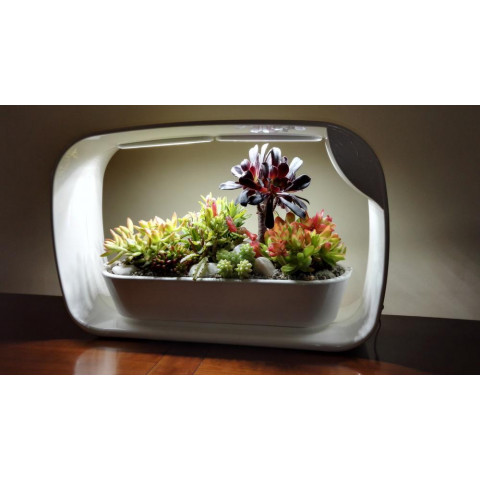 Lampe led ludique avec jardinière intégrée et enceinte bluetooth 50 led