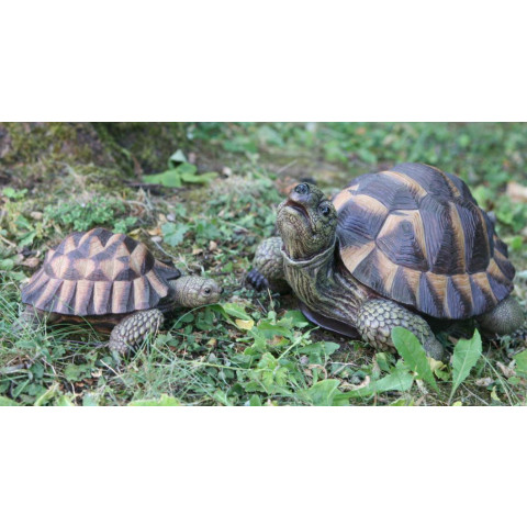 Tortue verte en résine