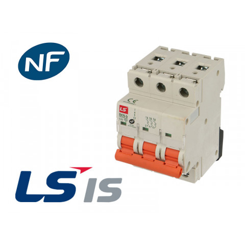 Disjoncteur modulaire bkn 6a 3p