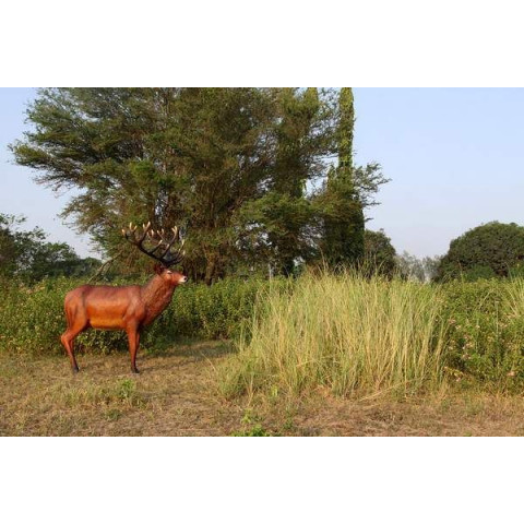 Cerf adulte patriarche en résine 116 cm