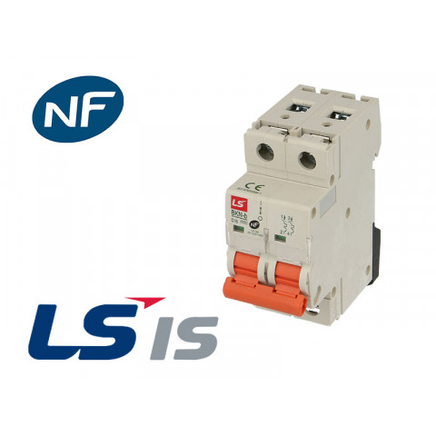 Disjoncteur modulaire 10a 2p (courbe d)