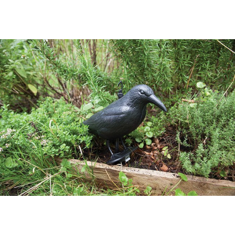 Epouvantail corbeau pour éloigner les pigeons