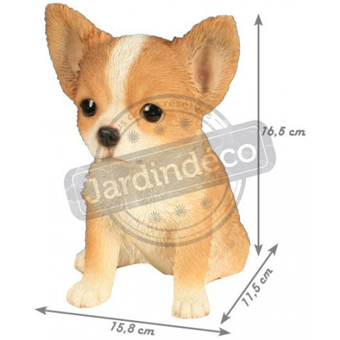 Bébé chiwawa en résine 16 cm