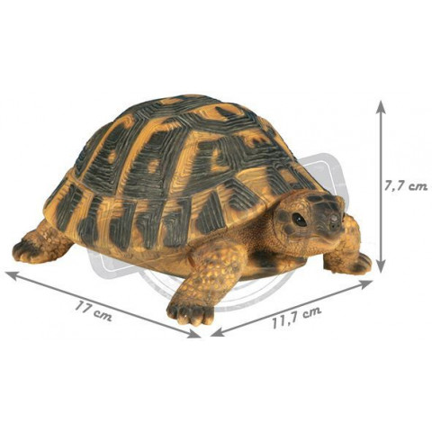 Tortue hermann en résine