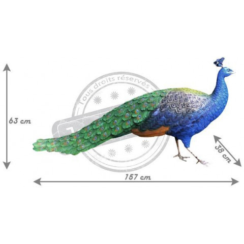 Paon à couronne en résine taille réelle