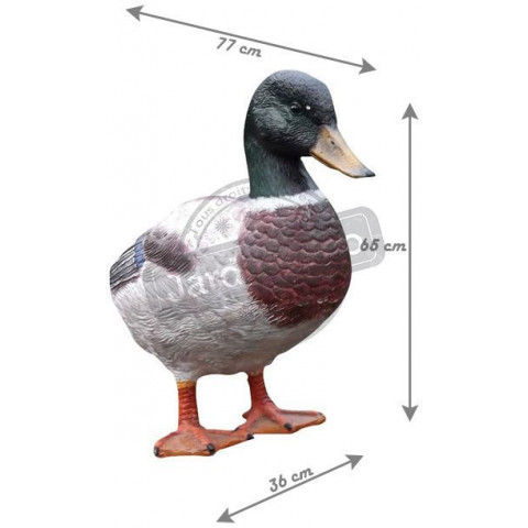 Canard colvert en résine géant