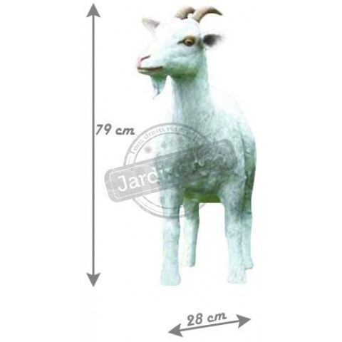 Chèvre adulte en résine 80 cm