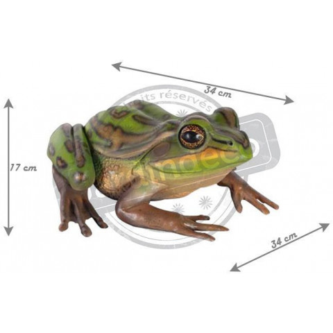 Grenouille en résine 34 cm