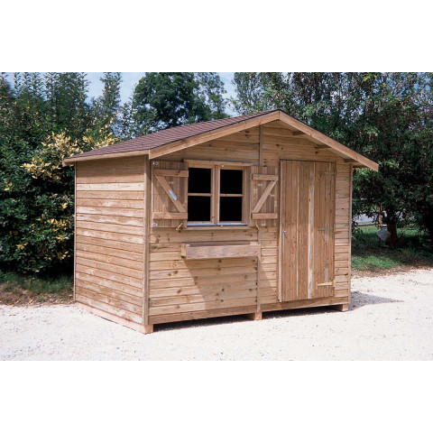 Abri de jardin en pin 21 mm d'épaisseur duo