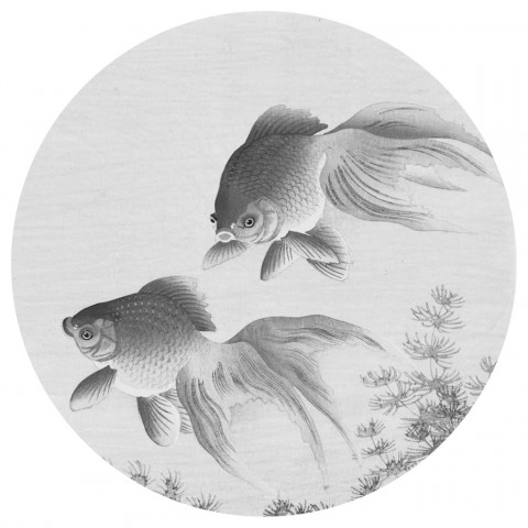 Papier peint cercle two goldfish 190 cm