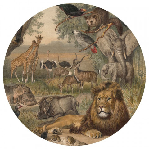 Papier peint cercle animals of africa 190 cm