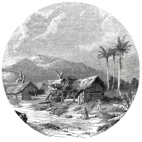 Papier peint cercle landscape of guadeloupe 190 cm