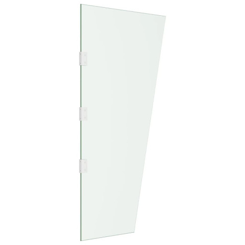 Panneau d'auvent de porte transparent 50x100 cm verre trempé