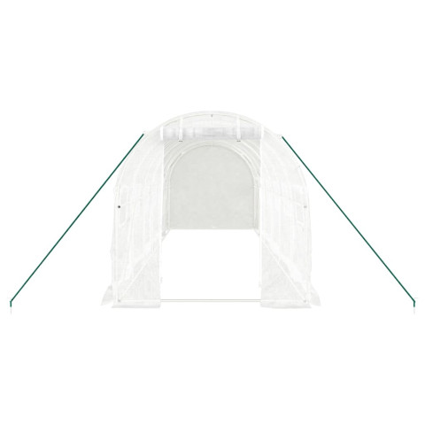 Serre avec cadre en acier blanc 12 m² 6x2x2 m