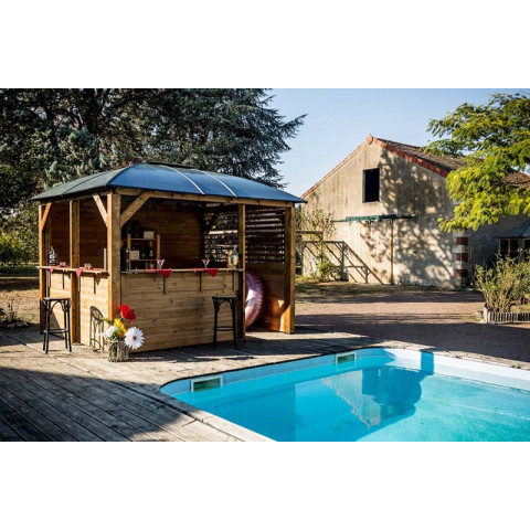 pool house blueterm fabrique en bois massif traite tres haute temperature 9 15 m2 altthb3630 distriartisan