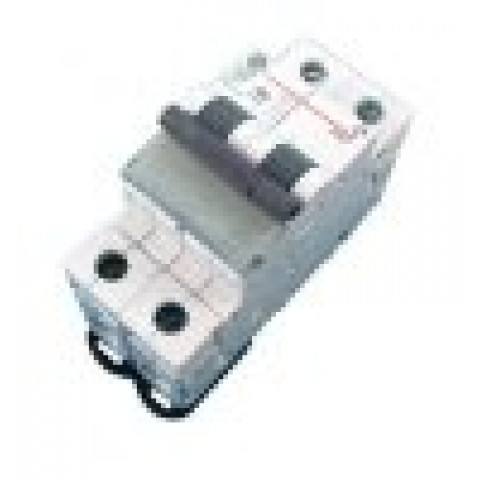 Disjoncteur Modulaire 2 Pôles 40A Courbe D 6 KA