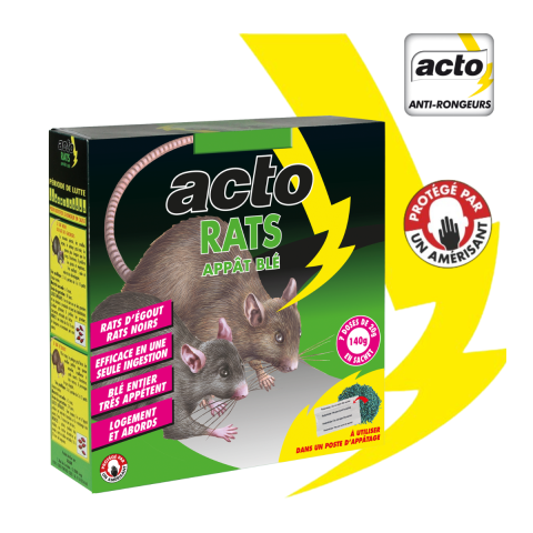 Acto rats appât blé - 7 x 20 grs -  solution efficace contre rats noirs et rats d'égout.