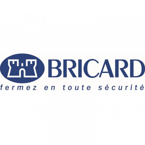 Bricard 15651 cylindre de serrure à protection renforcée 30 + 40 avec bouton alpha