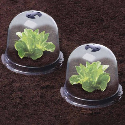 Cloches à salades plastique translucide Ose (lot de 6)