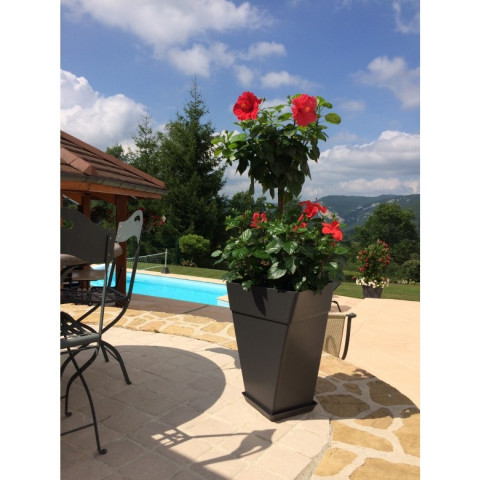 Colonne cocoripot twist 38cm - chapelu- - Coloris au choix