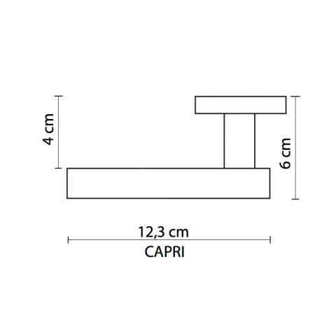 Lot de 2 poignées sur rosace à condamnation en zamak satiné capri