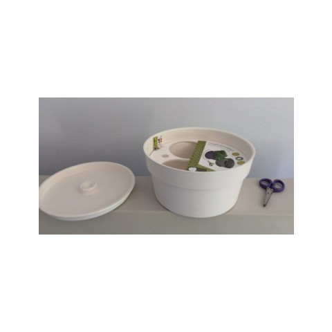 Coupe aromatique dustwood chatelain- coloris au choix