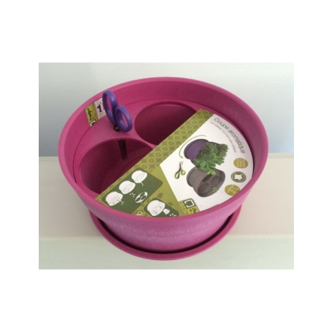 Coupe aromatique dustwood chatelain- coloris au choix