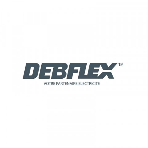 Debflex - 331403 - diamant prise 2p blanc polaire