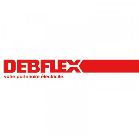 Debflex - 363787 - divine prise rj45 aluminium