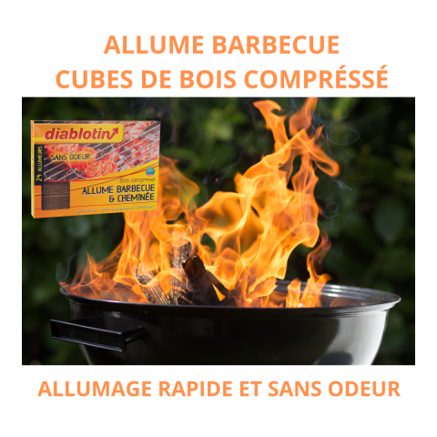 Cheminee Allume-Barbecue