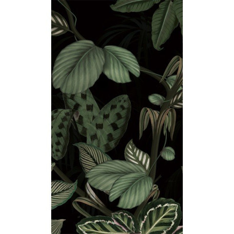 Plaques panoramique - dimensions & coloris aux choix