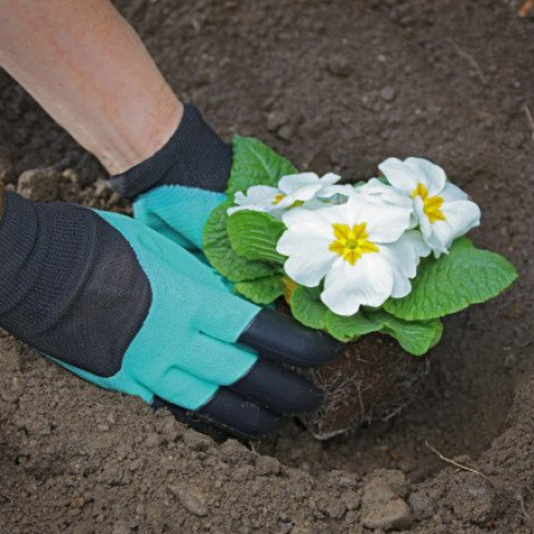 Gants de jardinage griffe vert Ose