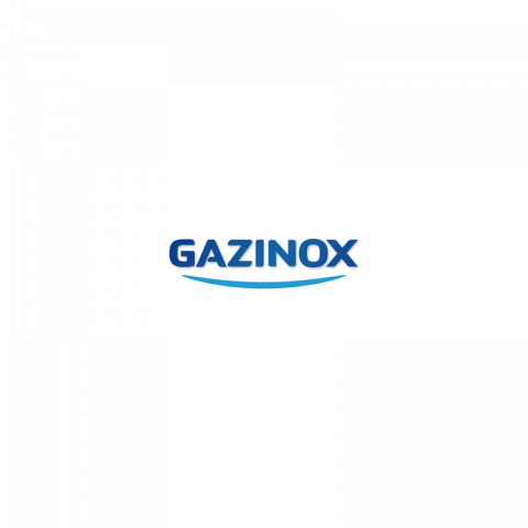 Gazinox - 037063 - tuyau inox validité illimitée longueur 2 métres