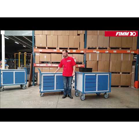 Servante d'atelier équipée 2 blocs tiroirs 500 kg - FIMM - 880009548