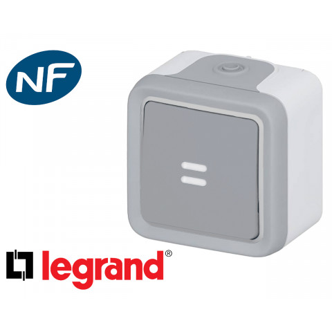 Legrand - Interrupteur temporisé à voyant plexo™ gris complet -  Distriartisan