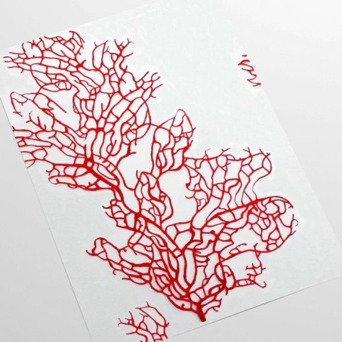 Papier peint corail rouge - CORALLO ROSSO++