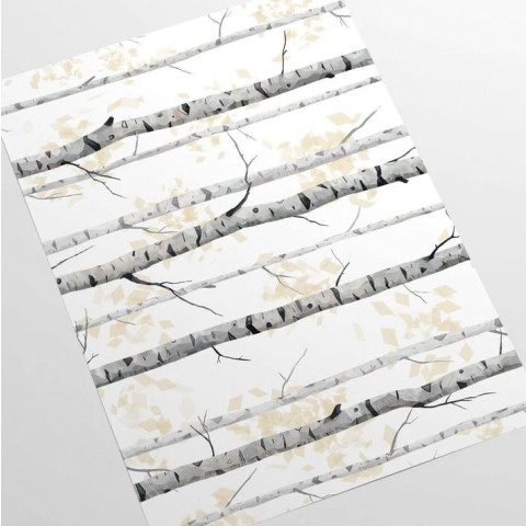 Papier peint forêt de bouleaux noir et blanc - BETULLE++