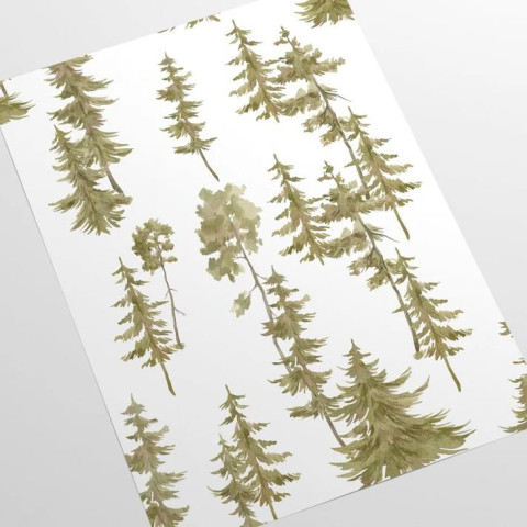 Papier peint forêt de pins aquarelles et bois vert - BOSCO VERDE++