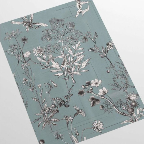 Papier peint illustrations botaniques florales - WILD FLOWER