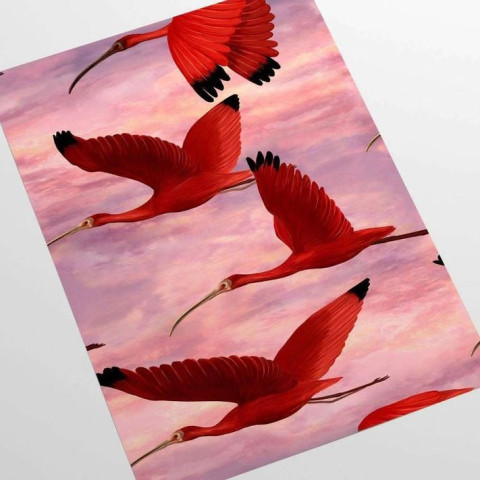 Papier peint tropical oiseaux roses - IBIS++