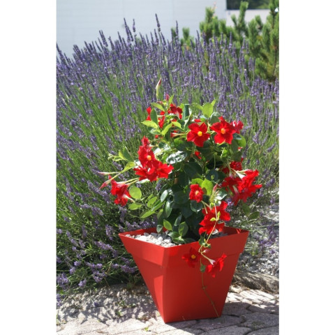 Pot et soucoupe cocoripot twist 24cm - chapelu- coloris au choix