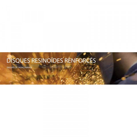 R.energy - 100730 - disques de tronçonnage plats pack x10