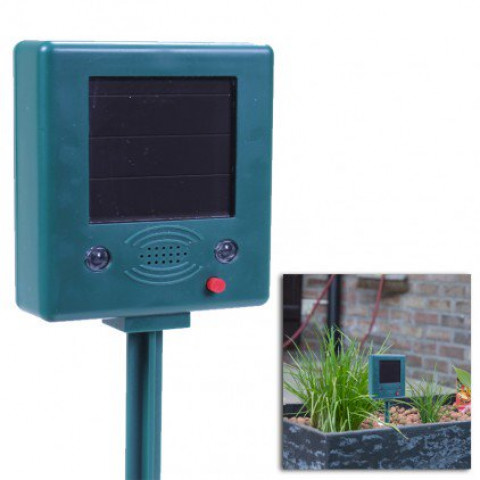 Répulsif solaire anti oiseaux et pigeon - vert