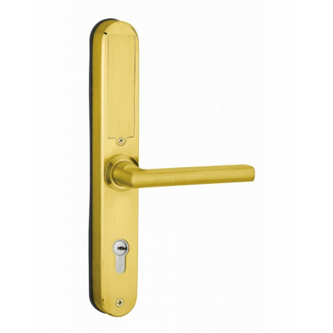 Garniture de porte Intelock Multi THIRARD