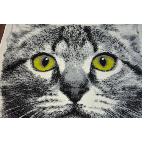 Tapis bcf flash 33319/160 - chat - Dimension au choix