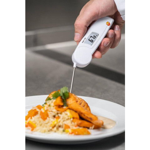 Thermomètre de pénétration TESTO -30° à 220 ° C - 0560 0103