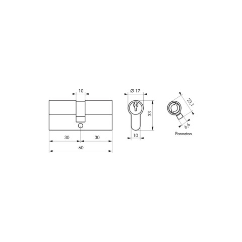 Cylindre de serrure double entrée SA, 30 x 30 mm, anti-arrachement, nickel, 3 clés - 1 pièce - THIRARD - 00016258