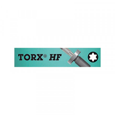 Tournevis TORX® avec porte-vis, Dimensions : T 10, Long. de la lame 80 mm, Long. totale 161 mm, Ø de la lame : 4,0 mm