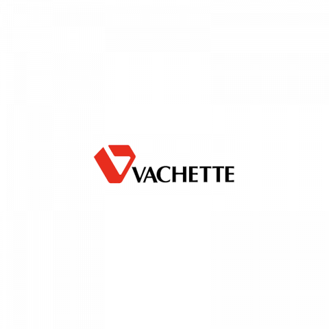 Vachette - 313008 - cadenas laiton ajax 40 mm